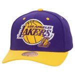 Official Los Angeles Lakers mens los angeles lakers mitchell  ness purple all in 2.0 pro crown snapback hat | Lakers Shop