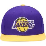 Official Los Angeles Lakers mens los angeles lakers mitchell  ness purple area code snapback hat | Lakers Shop