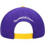 Official Los Angeles Lakers mens los angeles lakers mitchell  ness purple area code snapback hat | Lakers Shop