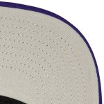 Official Los Angeles Lakers mens los angeles lakers mitchell  ness purple champ stack snapback hat | Lakers Shop