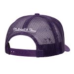 Official Los Angeles Lakers mens los angeles lakers mitchell  ness purple core evergreen otc trucker adjustable hat | Lakers Shop