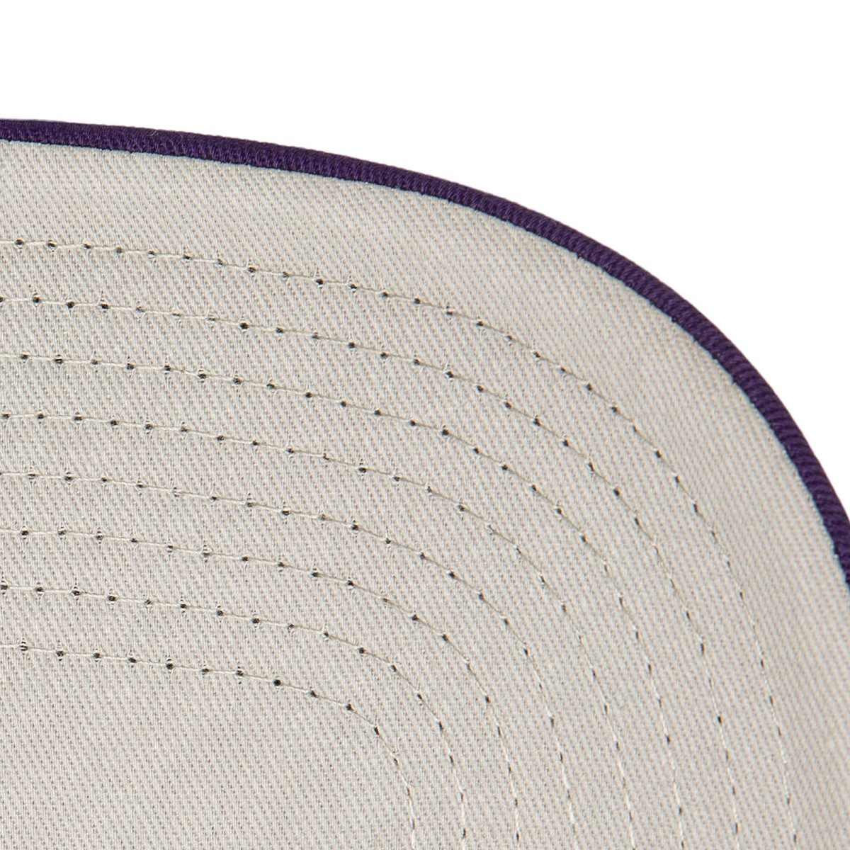 Official Los Angeles Lakers mens los angeles lakers mitchell  ness purple core evergreen otc trucker adjustable hat | Lakers Shop