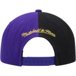 Official Los Angeles Lakers mens los angeles lakers mitchell  ness purple hardwood classics retroline snapback hat | Lakers Shop