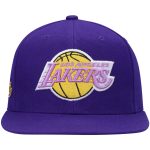 Official Los Angeles Lakers mens los angeles lakers mitchell  ness purple hardwood classics snapback hat | Lakers Shop
