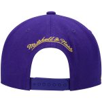 Official Los Angeles Lakers mens los angeles lakers mitchell  ness purple hardwood classics snapback hat | Lakers Shop