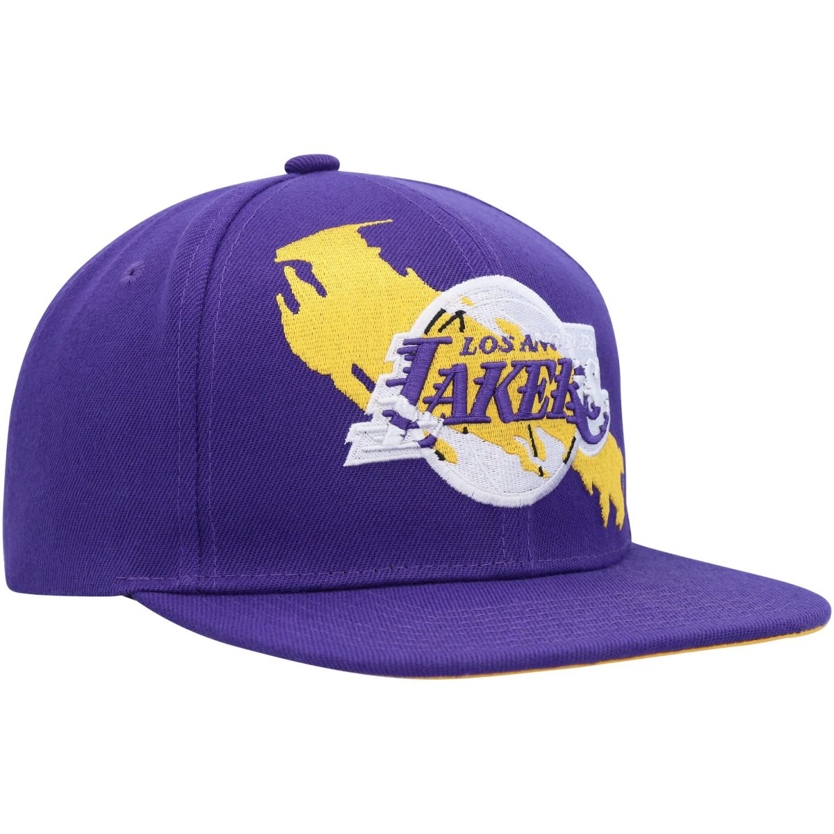 Official Los Angeles Lakers mens los angeles lakers mitchell  ness purple paint by numbers snapback hat | Lakers Shop