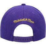 Official Los Angeles Lakers mens los angeles lakers mitchell  ness purple paint by numbers snapback hat | Lakers Shop