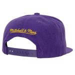 Official Los Angeles Lakers mens los angeles lakers mitchell  ness purple sweet suede snapback hat | Lakers Shop