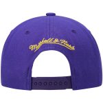 Official Los Angeles Lakers mens los angeles lakers mitchell  ness purplegold team two-tone 2.0 snapback hat | Lakers Shop