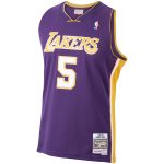 Official Los Angeles Lakers mens los angeles lakers robert horry mitchell  ness purple 199900 hardwood classics swingman jersey | Lakers Shop