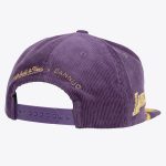 Official Los Angeles Lakers womens los angeles lakers mitchell  ness x dannijo purple deadstock cord snapback hat | Lakers Shop