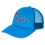 Official Los Angeles Lakers youth los angeles lakers mitchell  ness light blue core evergreen trucker adjustable hat | Lakers Shop